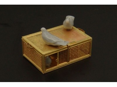 U S  pigeons of war 
