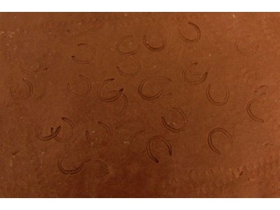 HORSESHOES 
