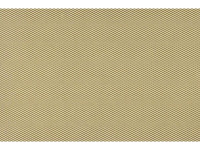 engraved plate-LENTIL type 