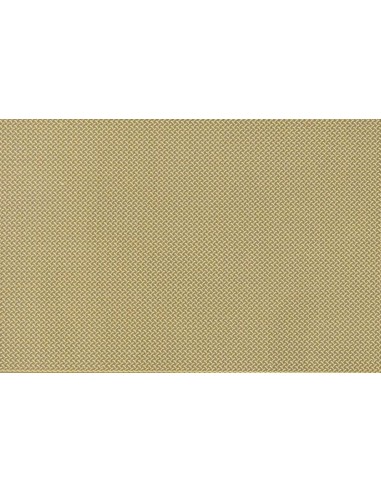 engraved plate-MODERN LENTIL type 