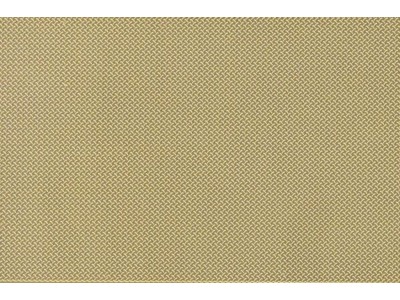engraved plate-MODERN LENTIL type 