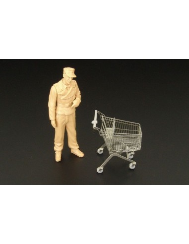 Shopping cart 