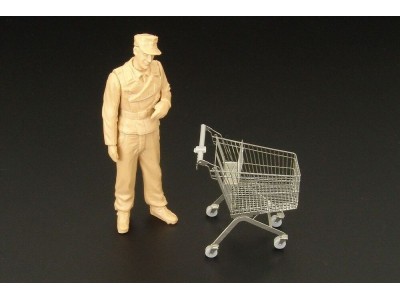Shopping cart 