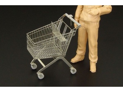 Shopping cart 