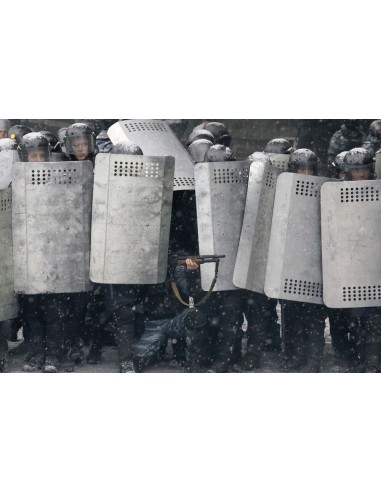 Ukraine police shield (2pcs) 