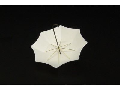 Umbrella (2pcs) 