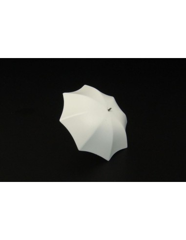 Umbrella (2pcs) 