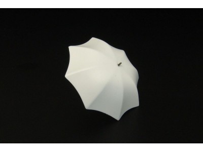 Umbrella (2pcs) 