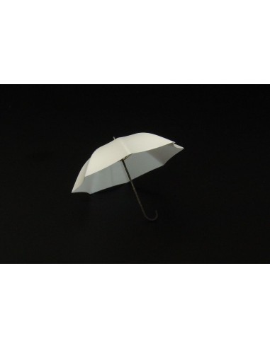 Umbrella (2pcs) 