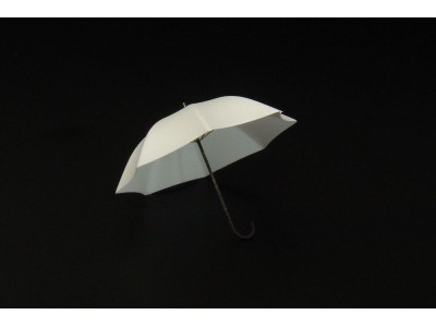 Umbrella (2pcs) 
