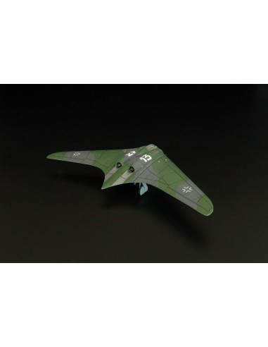 Horten Ho-229A 