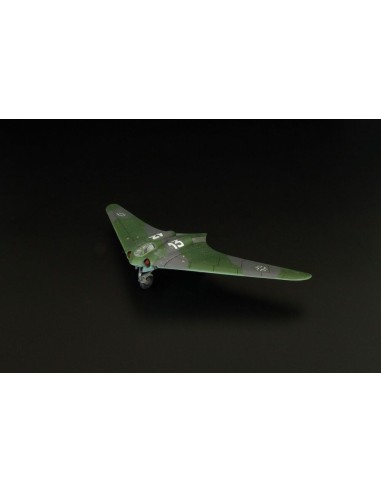 Horten Ho-229A 