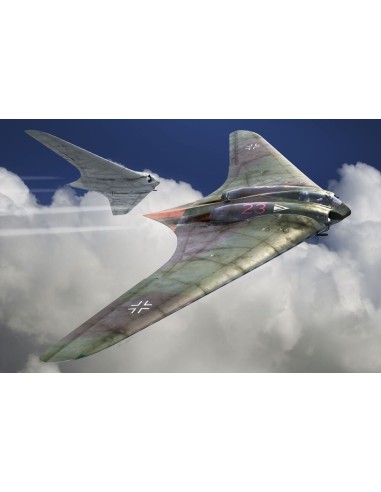 Horten Ho-229A 