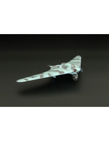 Ho-229 Night Fighter 