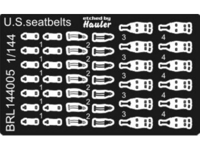 U S  seat belts 