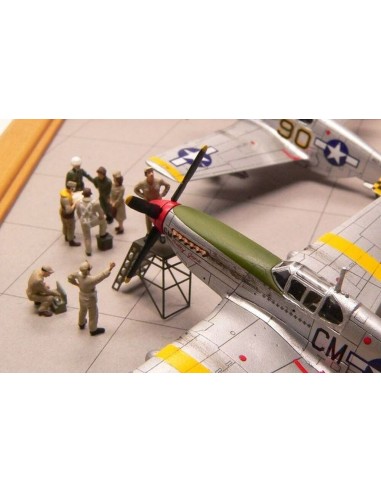 Workshop ladders 