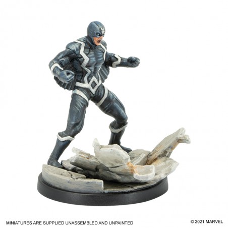 Black Bolt and Medusa