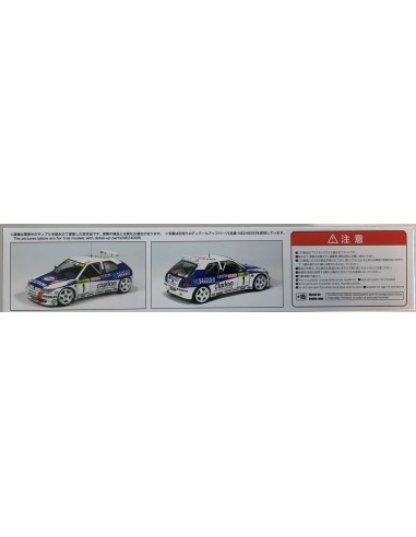 Peugeot 306 MAXI 96 Monte Carlo Rally 