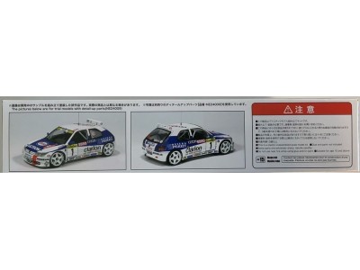 Peugeot 306 MAXI 96 Monte Carlo Rally 