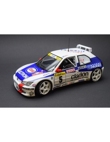 Peugeot 306 MAXI 96 Monte Carlo Rally 