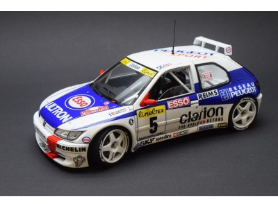 Peugeot 306 MAXI 96 Monte Carlo Rally 