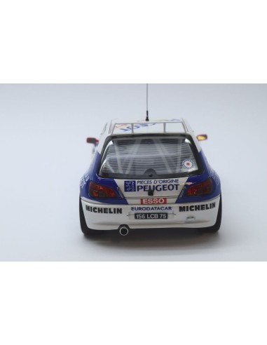 Peugeot 306 MAXI 96 Monte Carlo Rally 