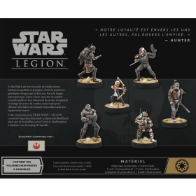 THE BAD BATCH SW LEGION VF