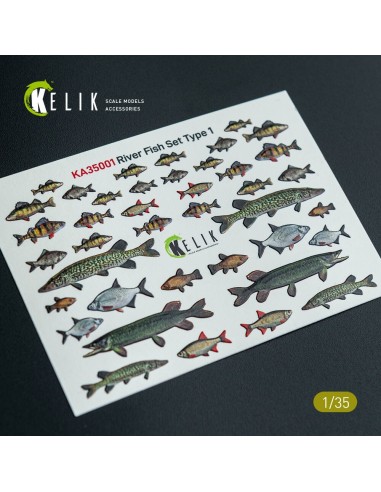 River Fish set Type 1 - 3D Decal for dioramas 