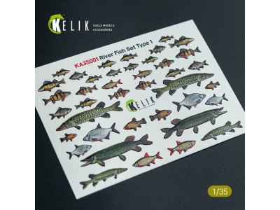 River Fish set Type 1 - 3D Decal for dioramas 