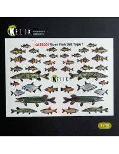 River Fish set Type 1 - 3D Decal for dioramas  2