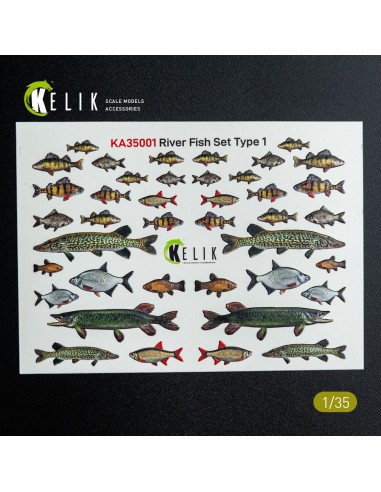 River Fish set Type 1 - 3D Decal for dioramas 