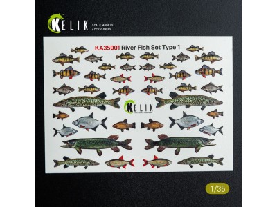 River Fish set Type 1 - 3D Decal for dioramas 