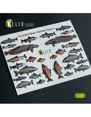 River Fish set Type 2 - 3D Decal for dioramas 