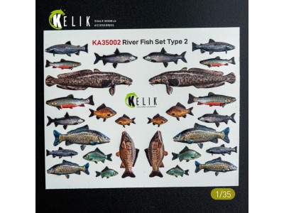 River Fish set Type 2 - 3D Decal for dioramas 