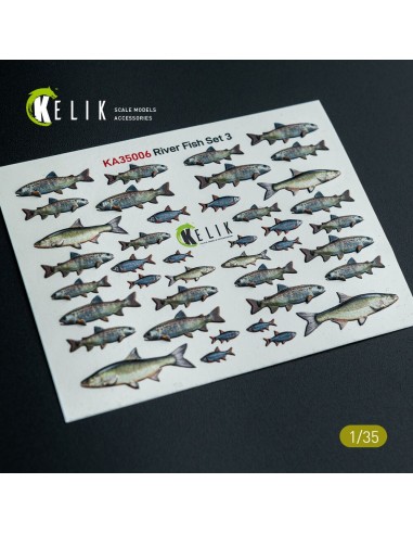 River Fish set Type 3 - 3D Decal for dioramas 