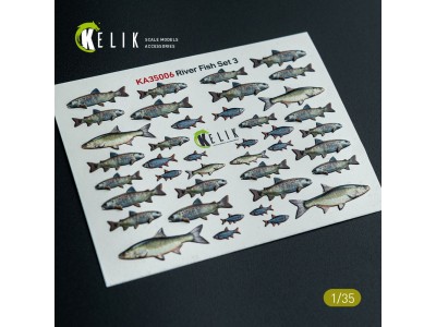 River Fish set Type 3 - 3D Decal for dioramas 
