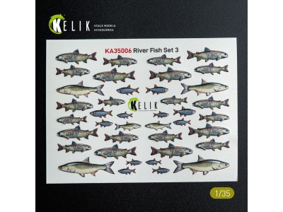 River Fish set Type 3 - 3D Decal for dioramas 