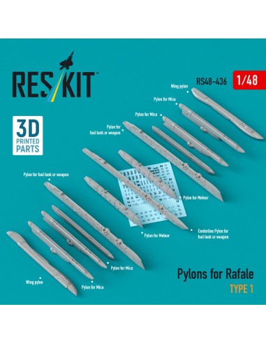 Pylons for Rafale type 1 (3D Printed) 