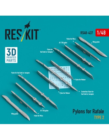 Pylons for Rafale type 2 (3D Printed) 