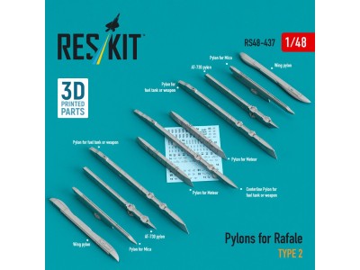 Pylons for Rafale type 2 (3D Printed) 