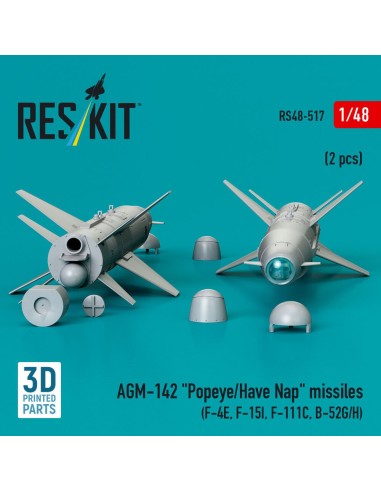 AGM-142 Popeye/Have Nap missiles (2 pcs) (F-4E, F-15I, F-111C, B-52G/H) (3D Printed) 