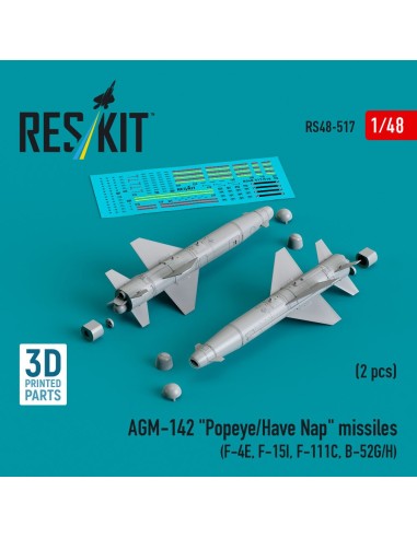 AGM-142 Popeye/Have Nap missiles (2 pcs) (F-4E, F-15I, F-111C, B-52G/H) (3D Printed) 