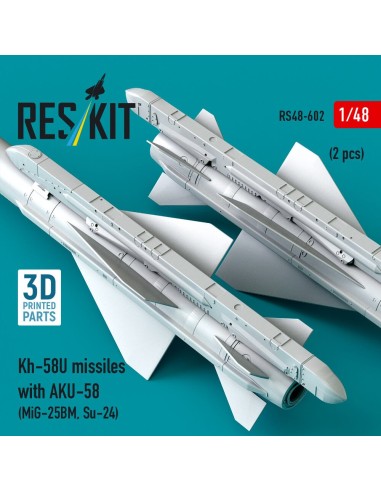 Kh-58U missiles with AKU-58 (2 pcs) (MiG-25BM, Su-24) (3D Printed) 