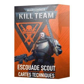 CARTES TECHNIQUES: ESCOUADE SCOUT (FRA)