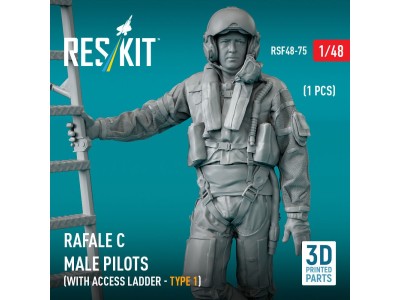 Rafale C male pilot with access ladder (type 1) (1 pcs) (3D Printed) 