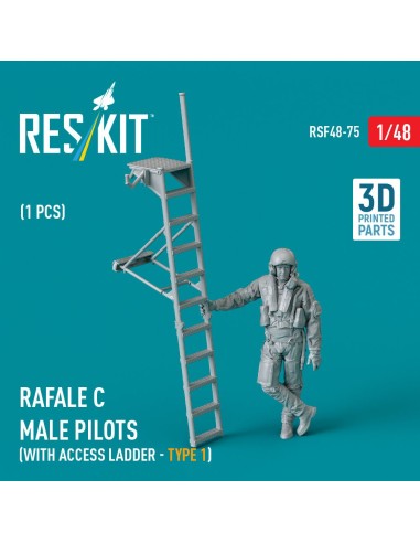 Rafale C male pilot with access ladder (type 1) (1 pcs) (3D Printed) 