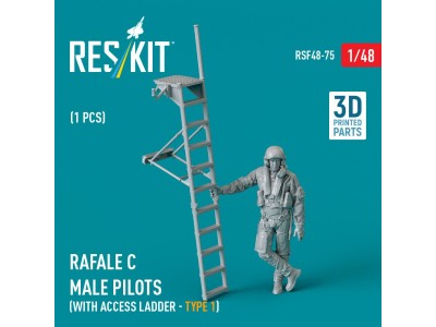 Rafale C male pilot with access ladder (type 1) (1 pcs) (3D Printed) 