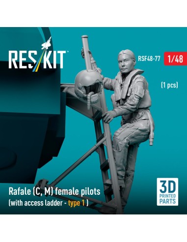 Rafale (C, M) female pilot (with access ladder - type 1) (1 pcs) (3D Printed) 