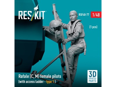 Rafale (C, M) female pilot (with access ladder - type 1) (1 pcs) (3D Printed) 