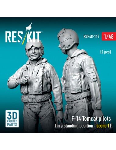 F-14 Tomcat pilots (in a standing position - scene 1) (2 pcs) (3D Printed) 
